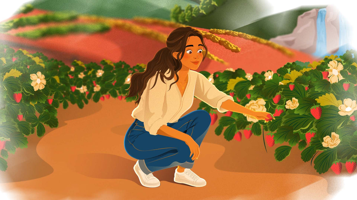 She crouches at the strawberry rows, picking.