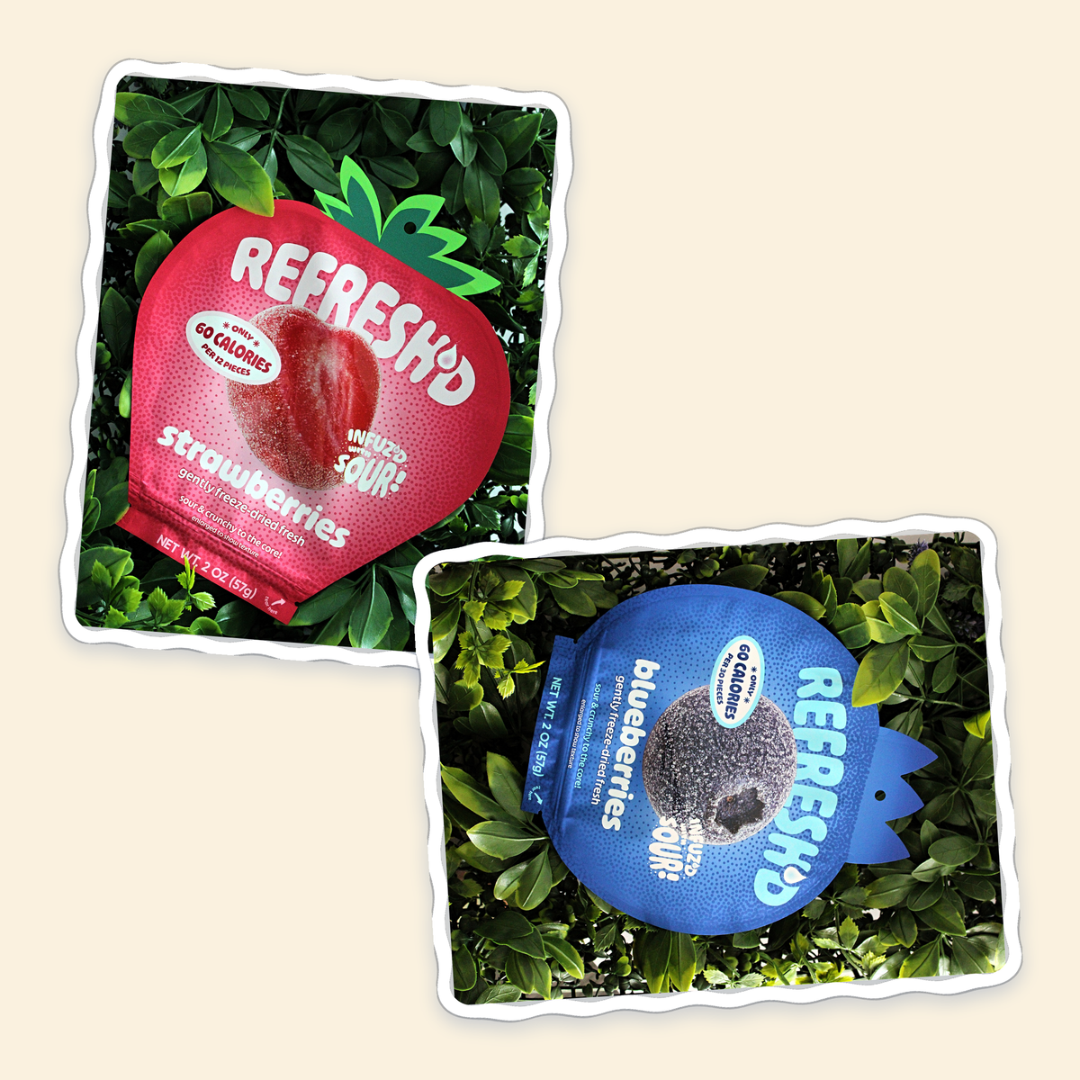 A REFRESH'D strawberries pouch and a REFRESH'D blueberries pouch, each lying in green leaves, shown as two die-cut photo stickers on cream