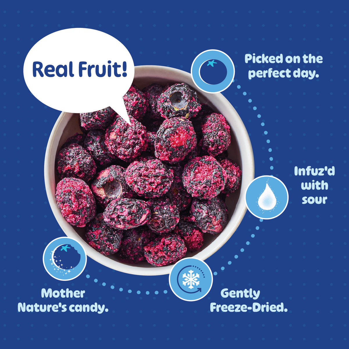 A bowl of REFRESH'D freeze-dried blueberries: real fruit picked on the perfect day, Infuz'd with sour, gently freeze-dried