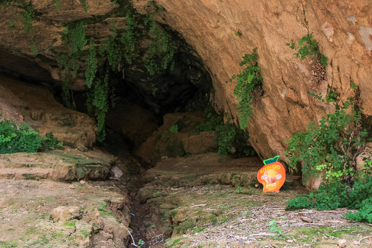 A sandstone alcove in Utah with a mango pouch set on the rock