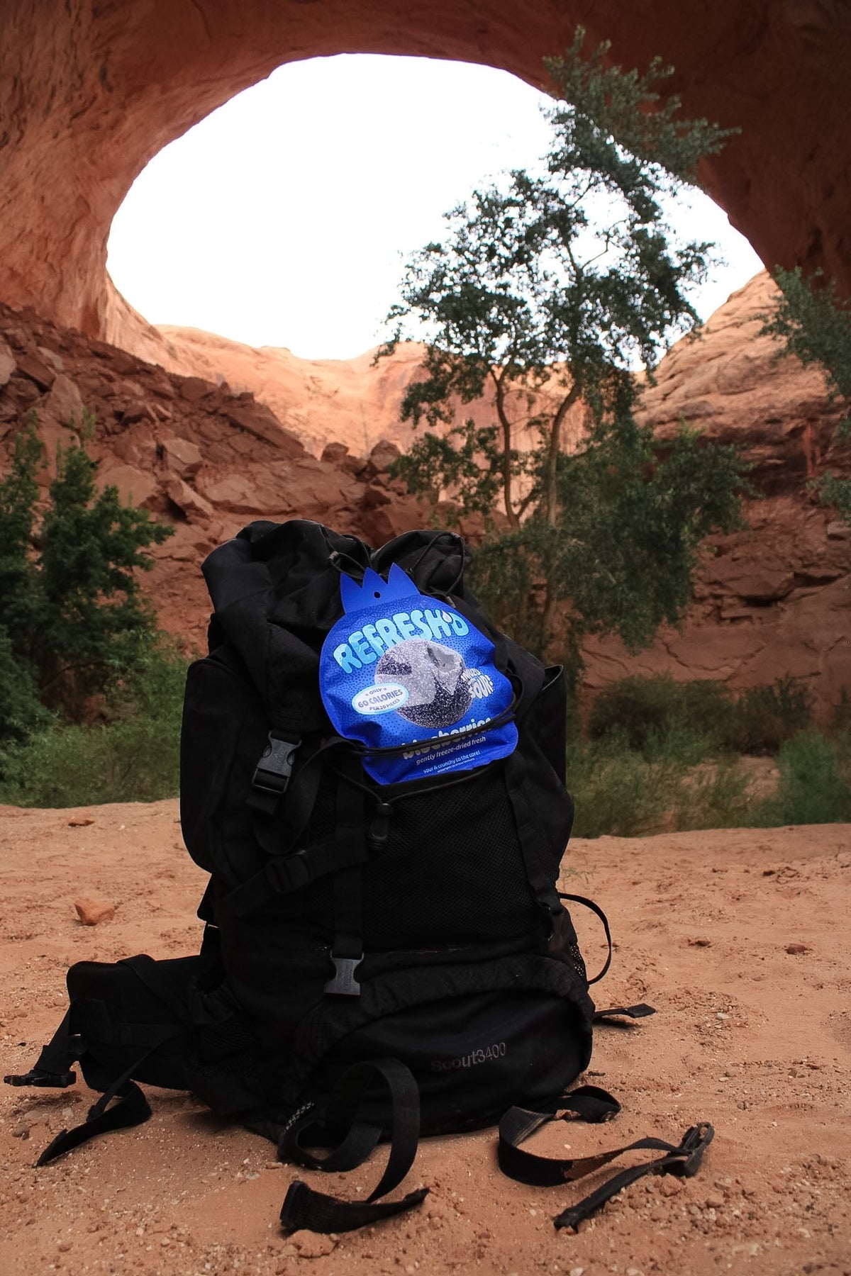 A blueberries pouch of REFRESH'D clipped to the top of a black backpack on red rock