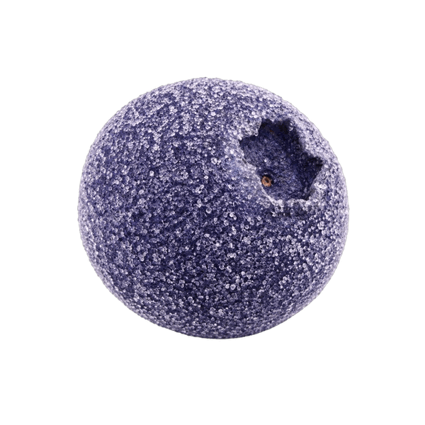 One REFRESH'D freeze-dried sour blueberry, enlarged to show texture.