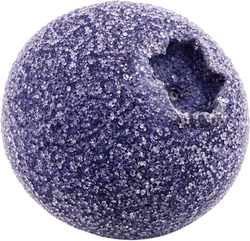A single freeze-dried sour blueberry